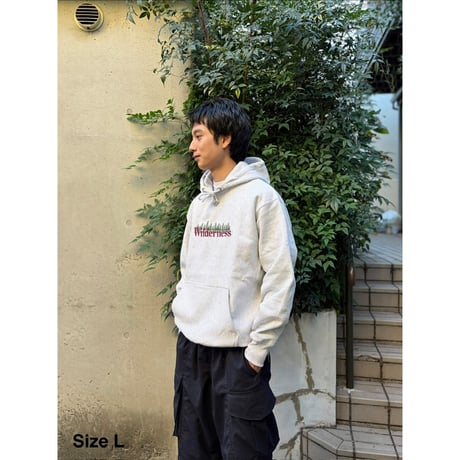 Color at Against Originals /  Wilderness Hoodie