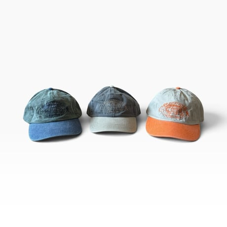 RWCHE / SANPO CAP
