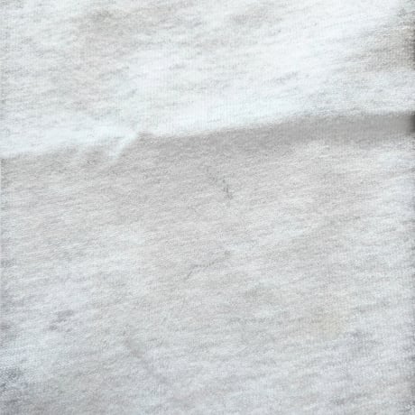 Made in USA / Embroidered OREGON Tee / Ash L / Used