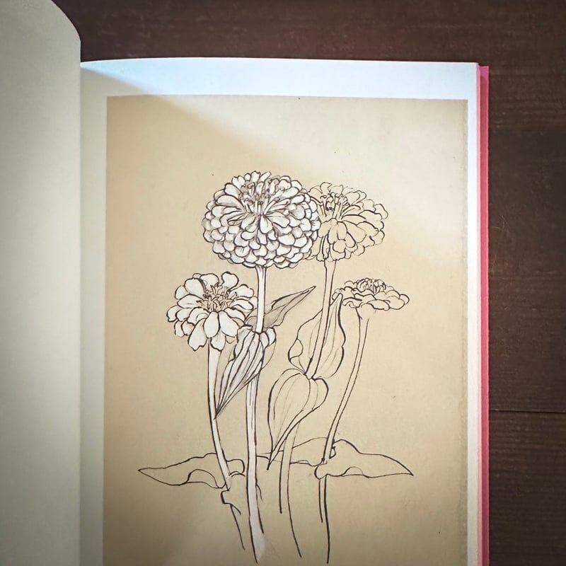 トラネコボンボン　原画 トラネコボンボン「F is for Flower」 | 書肆サイコロ