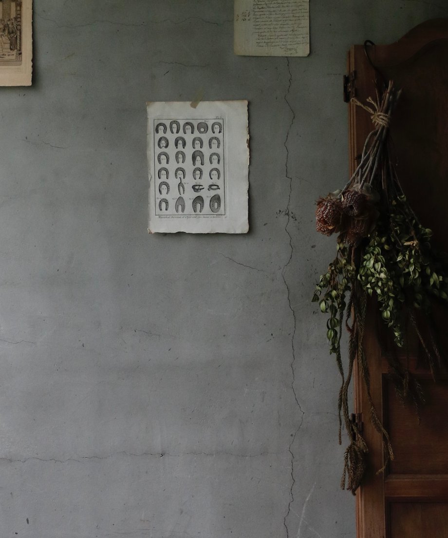 6aae187552368edbb05e56d0