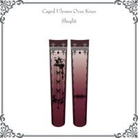 Caged Ulysses Over Knee／ボルドー