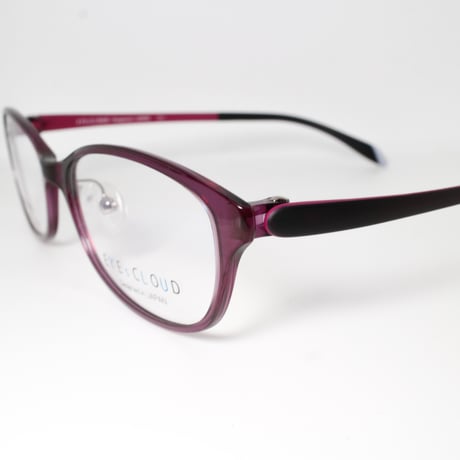 EYEs CLOUD（アイクラウド）EC-1019 C-22