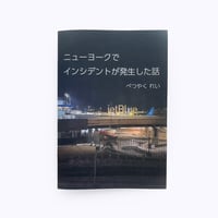 べつやくれい ／ ニューヨークでインシデントが発生した話