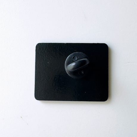 PINS etc.