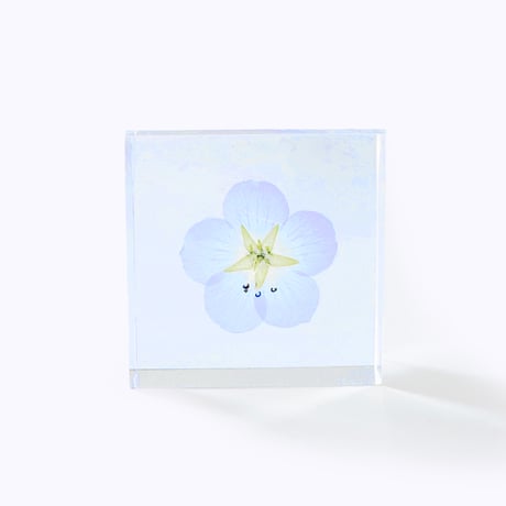 Sola tile ネモフィラ