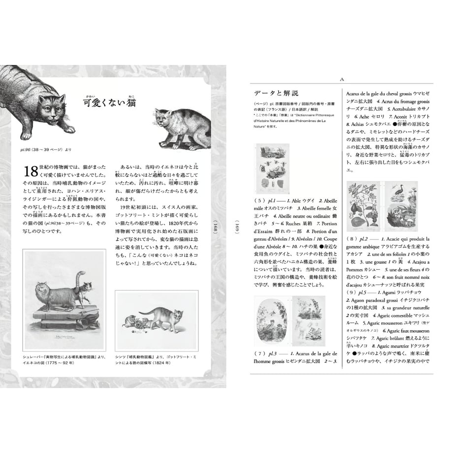 6a8e7f8369abcc0042662adf