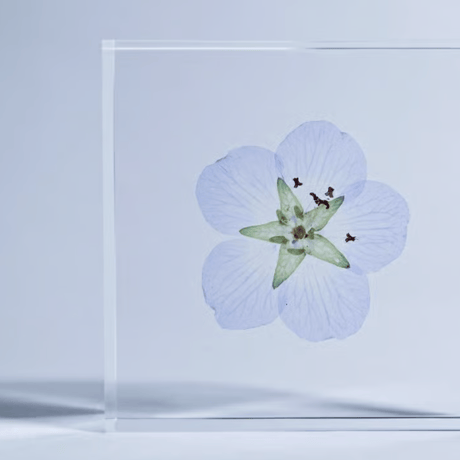 Sola tile ネモフィラ