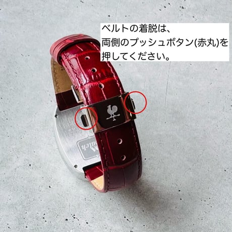 Retro Graph 120 ケース:ヘアライン仕上げ  文字盤:ミント ベルトカラー:8カラー