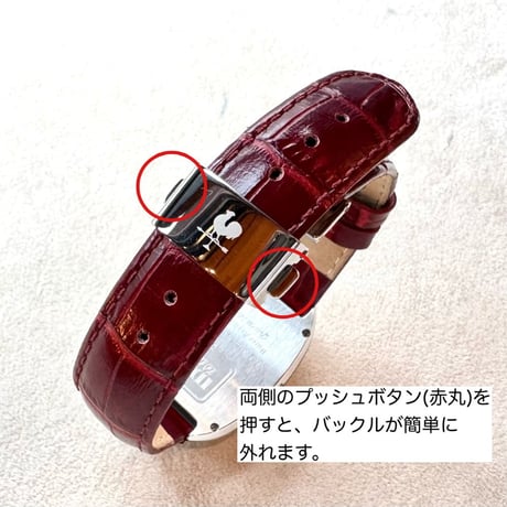 Retro Graph M120 ケース:鏡面仕上げ  文字盤:レトロネイビー ベルトカラー:９カラー
