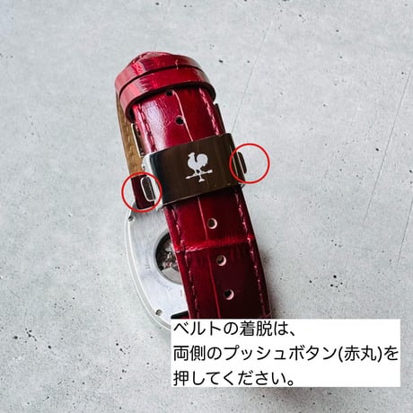 Retro Graph M120 ケース:ヘアライン仕上げ  文字盤:レトロネイビー ベルトカラー:9カラー