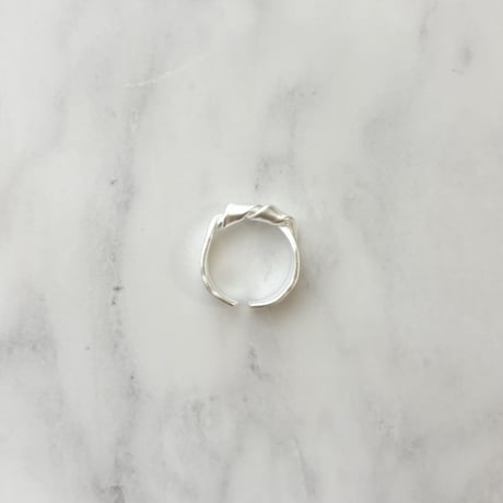 ring 360