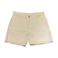 ’20 Patagonia Stand Up Shorts W36