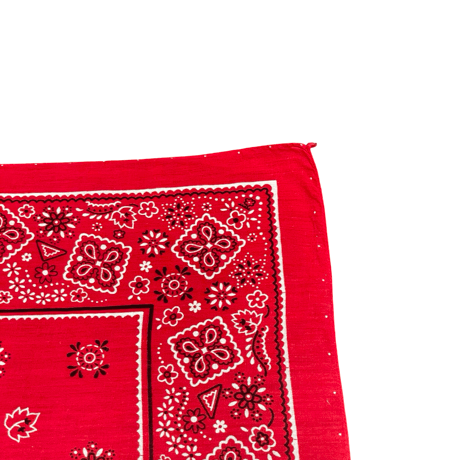 60s Paris Cookie Bandana #210
