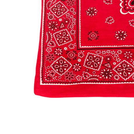 60s Paris Cookie Bandana #210