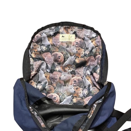 ‘15 GREGORY × PLADRA Backpack