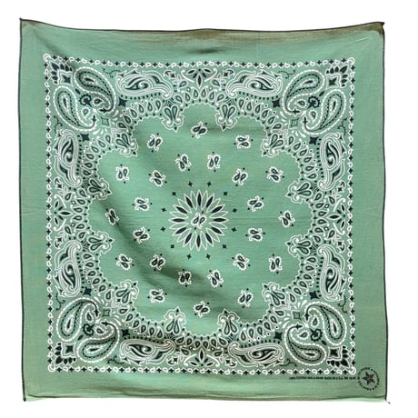 80s HAV-A-HANK bandana #205