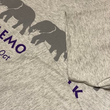 '94 FRUIT OF THE LOOM MEMORY WALK T-Shirt