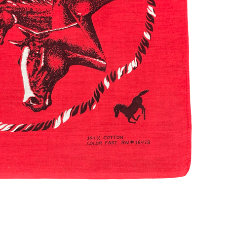 60s Wrangler Bandana #209