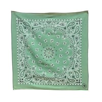 80s HAV-A-HANK bandana #205