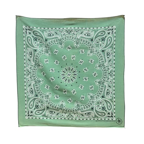 80s HAV-A-HANK bandana #205