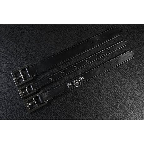 24mm Insert Tip Leather Bracelet / Plane Design ( 30th Anniversary Model )