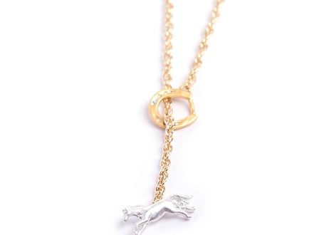 PalnartPoc｜Lucky horseshoeネックレス