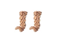 PalnartPoc｜タコ足ピアス