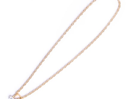PalnartPoc｜Lucky horseshoeネックレス