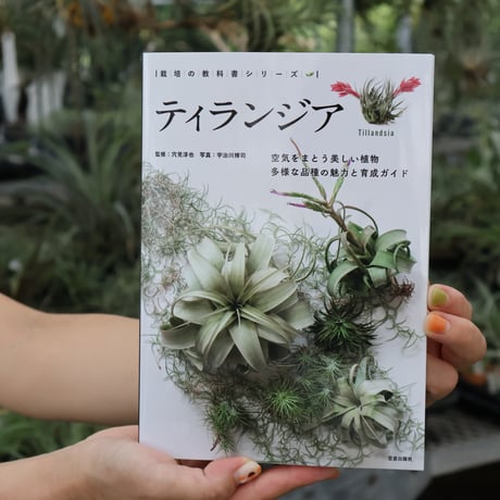 air-plants TENGU-DO