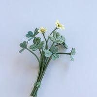 kico 　カタバミ のブローチ