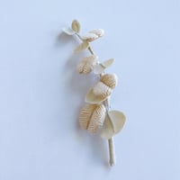 kico ユーカリのブローチ