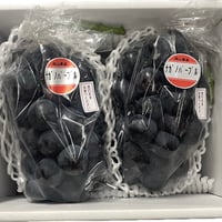 [153]お土産ナガノパープル１㎏入（２～３房）