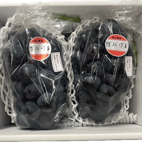 [153]お土産ナガノパープル１㎏入（２～３房）