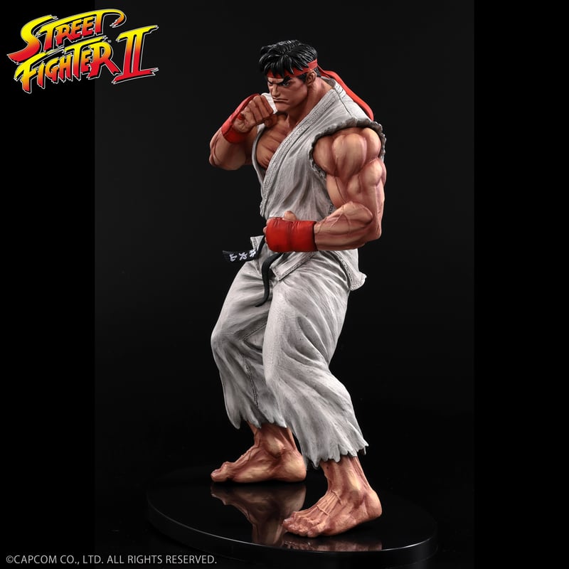 ryu.様お取り置き。こちらの商品を2点分のリピーター様特別価格です リュウ（通常カラー） | STUDIO24 store