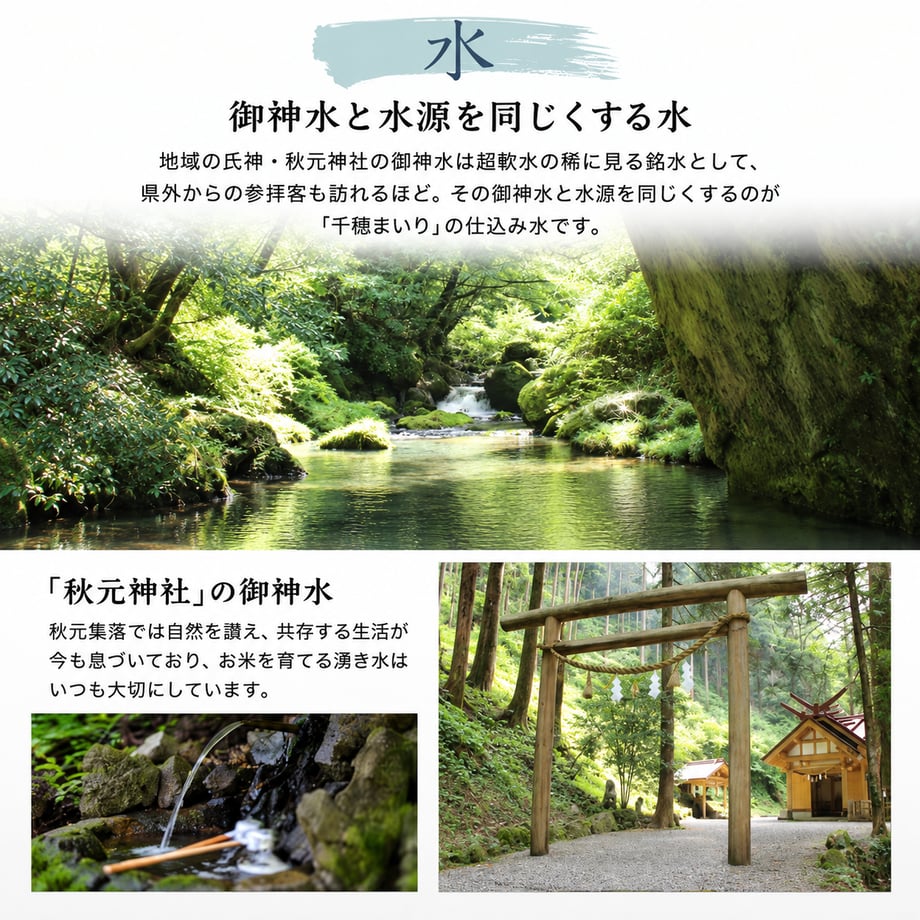 5ff53e6eb00aa32564f640ba