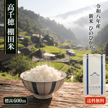 【令和8年産】高千穂産ひのひかり 10kg｜つなぐ棚田遺産認定の棚田米｜標高600m棚田の寒暖差が育てた極上の旨味｜白米・玄米選択可｜産地直送