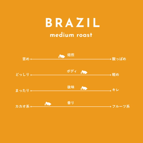 ブラジル｜ラゴア  中煎り