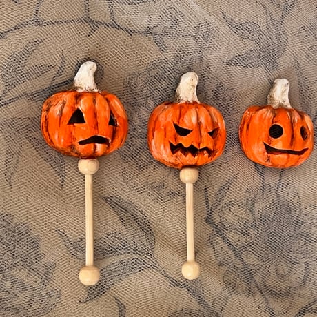Zucca  【在庫追加】