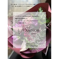 【Very ANDIOR club】花の定期便(9〜12月)・Sサイズ