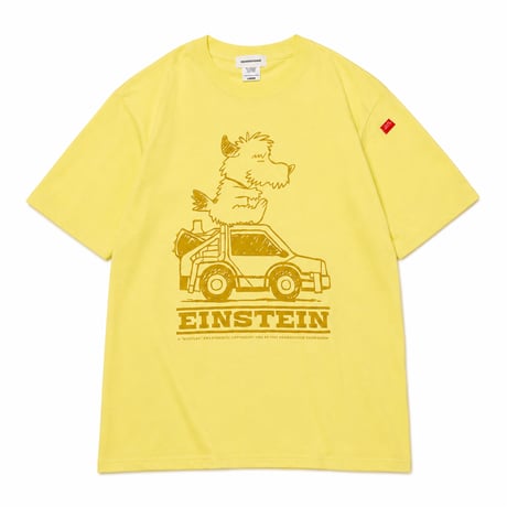 EINSTEIN Tshirts (2026 Summer limited color)