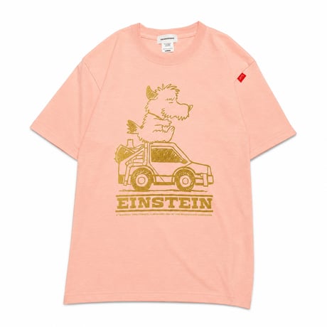 EINSTEIN Tshirts (2026 Summer limited color)