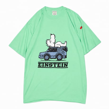 SLEEP EINSTEIN Tshirts (2026 Summer Limited Color)