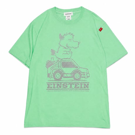 EINSTEIN Tshirts (2026 Summer limited color)