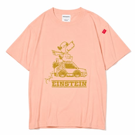 FLYING EINSTEIN Tshirts (2026 Summer Limited Color)