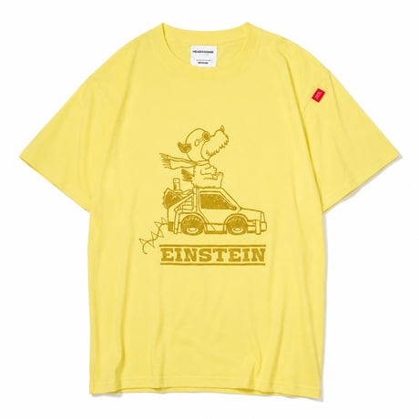 FLYING EINSTEIN Tshirts (2026 Summer Limited Color)