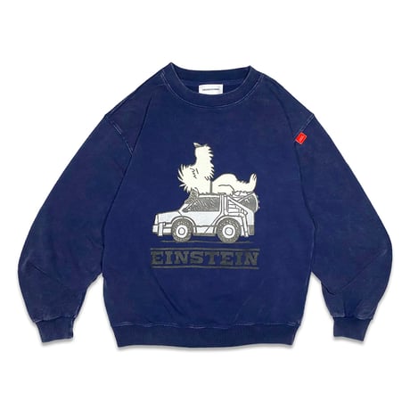 SLEEP EINSTEIN VINTAGE CREWNECK SWEAT（限定モデル）