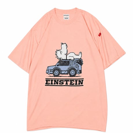SLEEP EINSTEIN Tshirts (2026 Summer Limited Color)