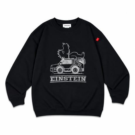 EINSTEIN CREWNECK SWEAT