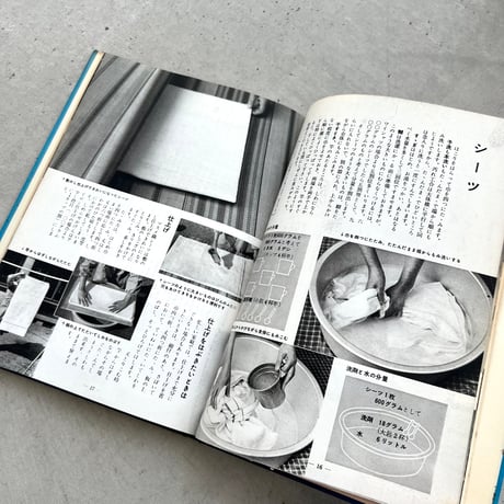 新家事読本 たのしい洗濯